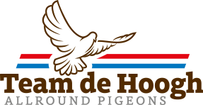 Team de Hoogh Logo